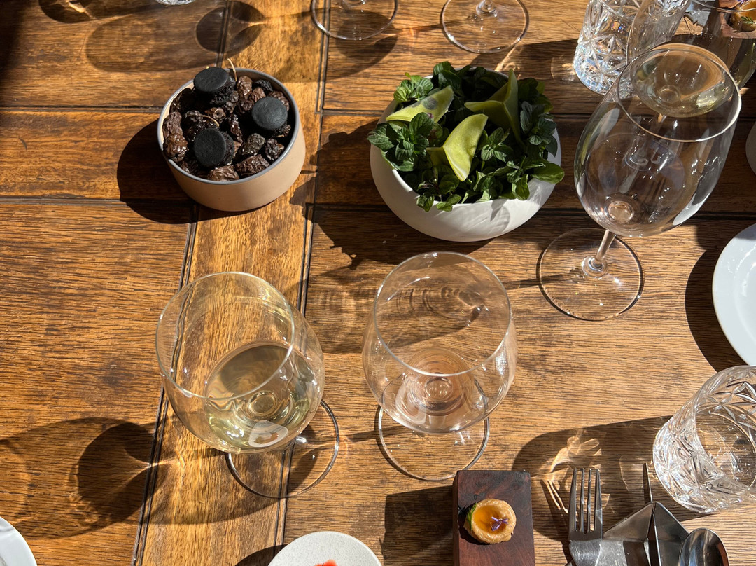 Riccitelli Wines & Bistró-路冉得库约必去景点