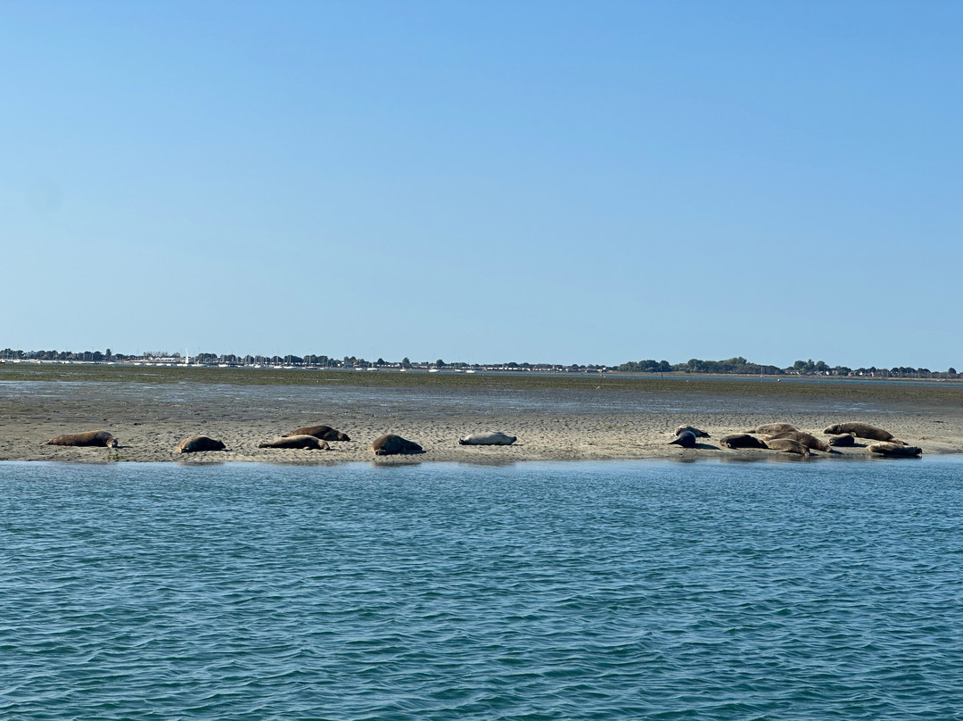 Chichester Harbour Water Tours-West Itchenor必去景点