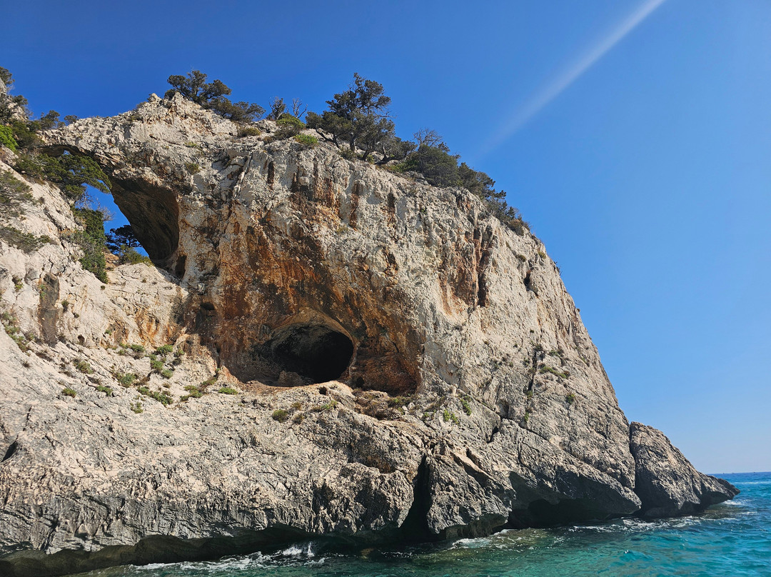 Nuovo Consorzio Trasporti Marittimi Cala Gonone-Cala Gonone必去景点
