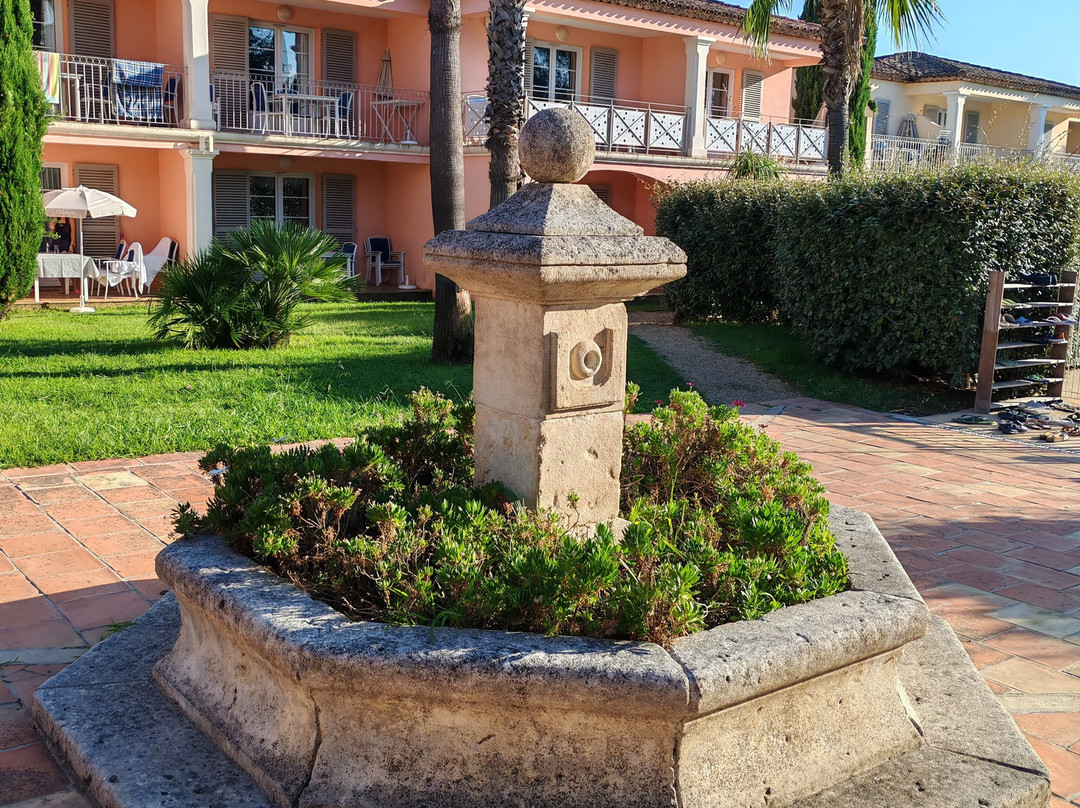 Résidence Odalys Référence La Palmeraie主图