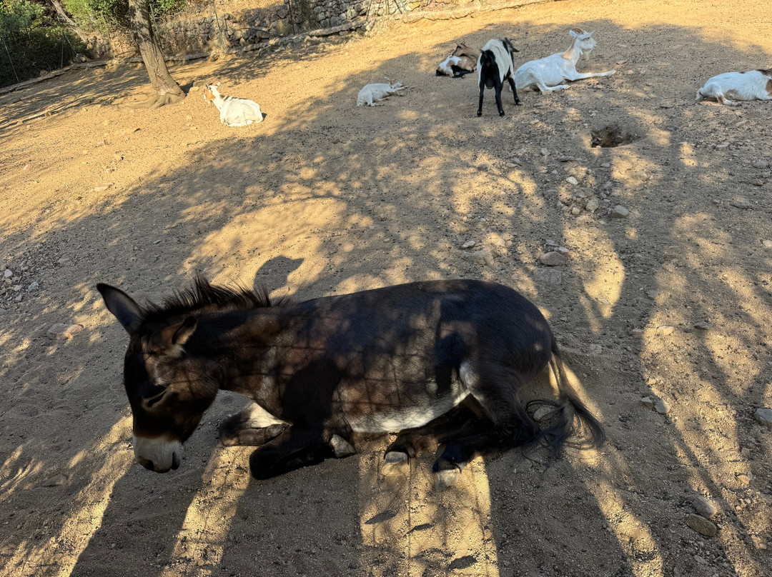 Parc de Saleccia-Ile Rousse必去景点