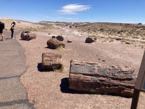 Crystal Forest Trail-石化林国家公园必去景点
