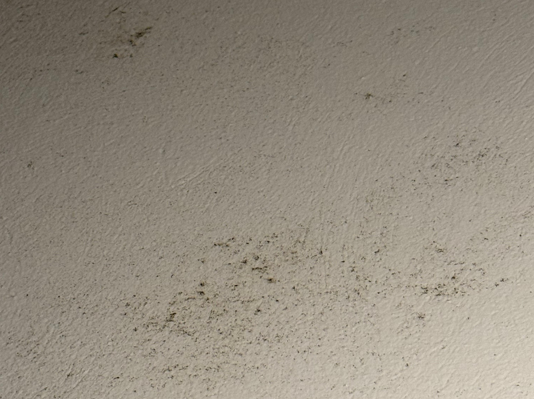 Mr And Mrs White Mykonos主图