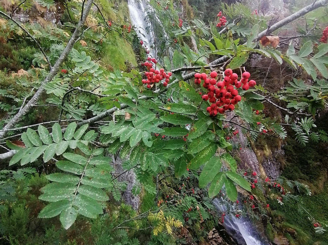Ruta de la Cascada del Tabayon del Mongayu-Campo de Caso必去景点
