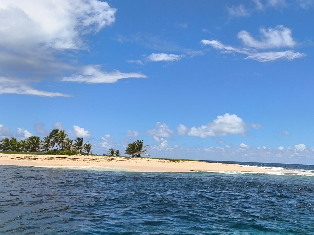 Les Ballades du Delphis-Le Francois必去景点