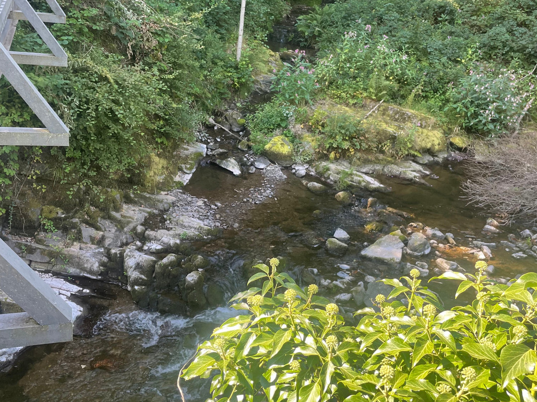 Residenz Hotel-Cafe主图