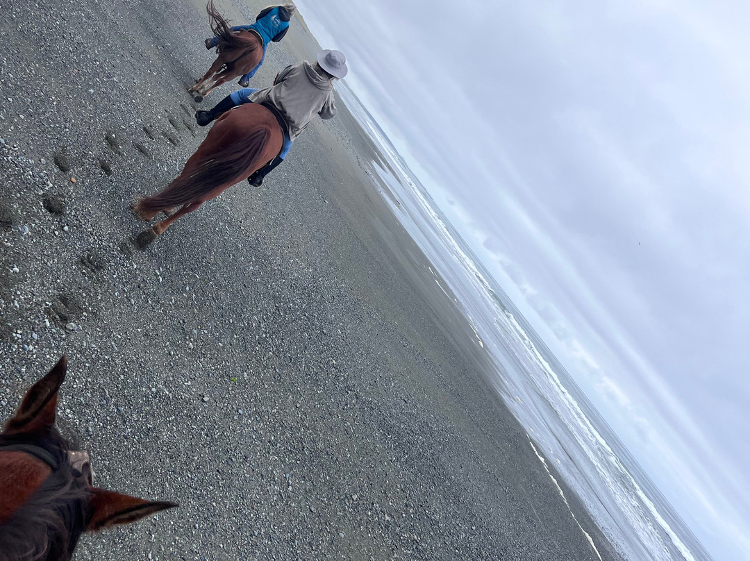 Crescent Trail Rides-克雷森特城必去景点