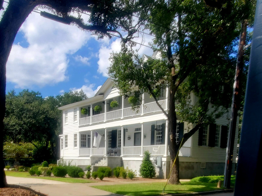 Swamp Fox Tours-乔治敦必去景点