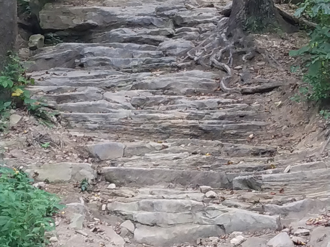 Hatfield-McCoy Trail-Lyburn必去景点