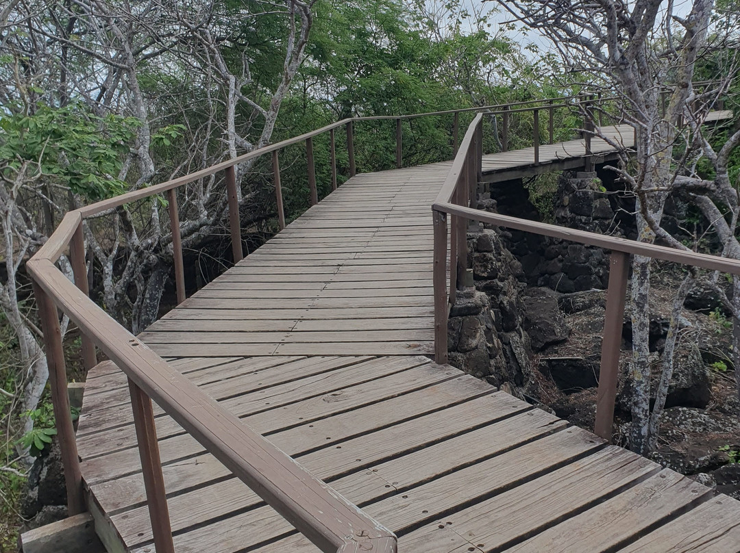 Cerro Tijeretas-Puerto Baquerizo Moreno必去景点