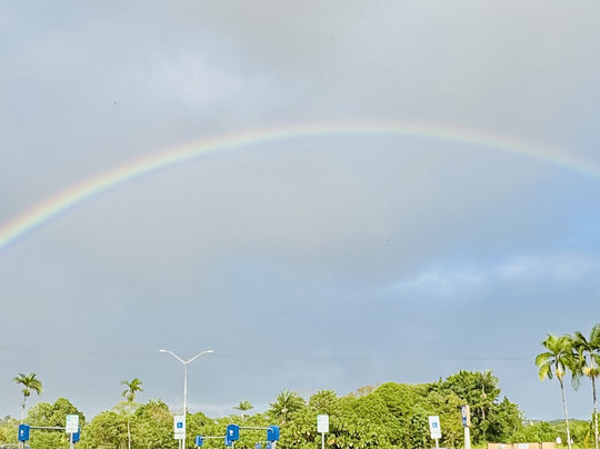 Aloha Aina Tours-希洛必去景点