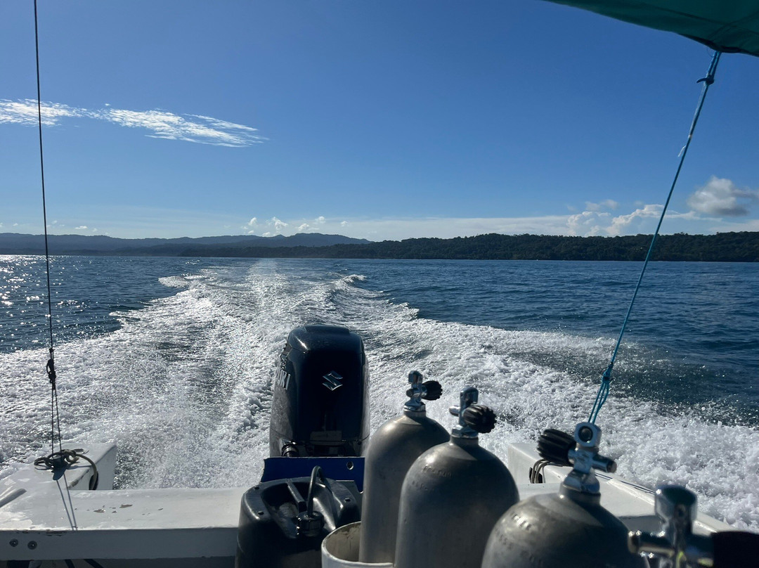 Drake Divers Costa Rica-德雷克湾必去景点