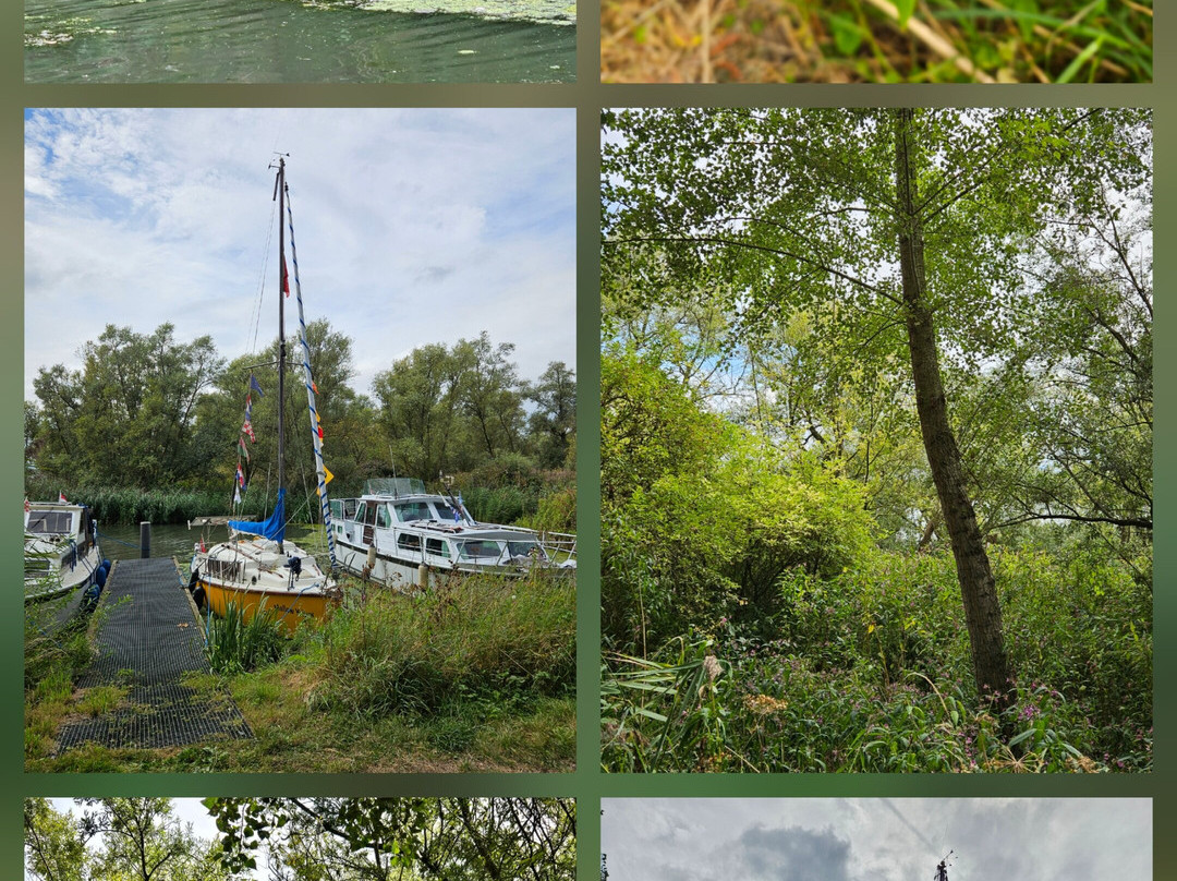 Biesbosch Mini Cruises-Drimmelen必去景点
