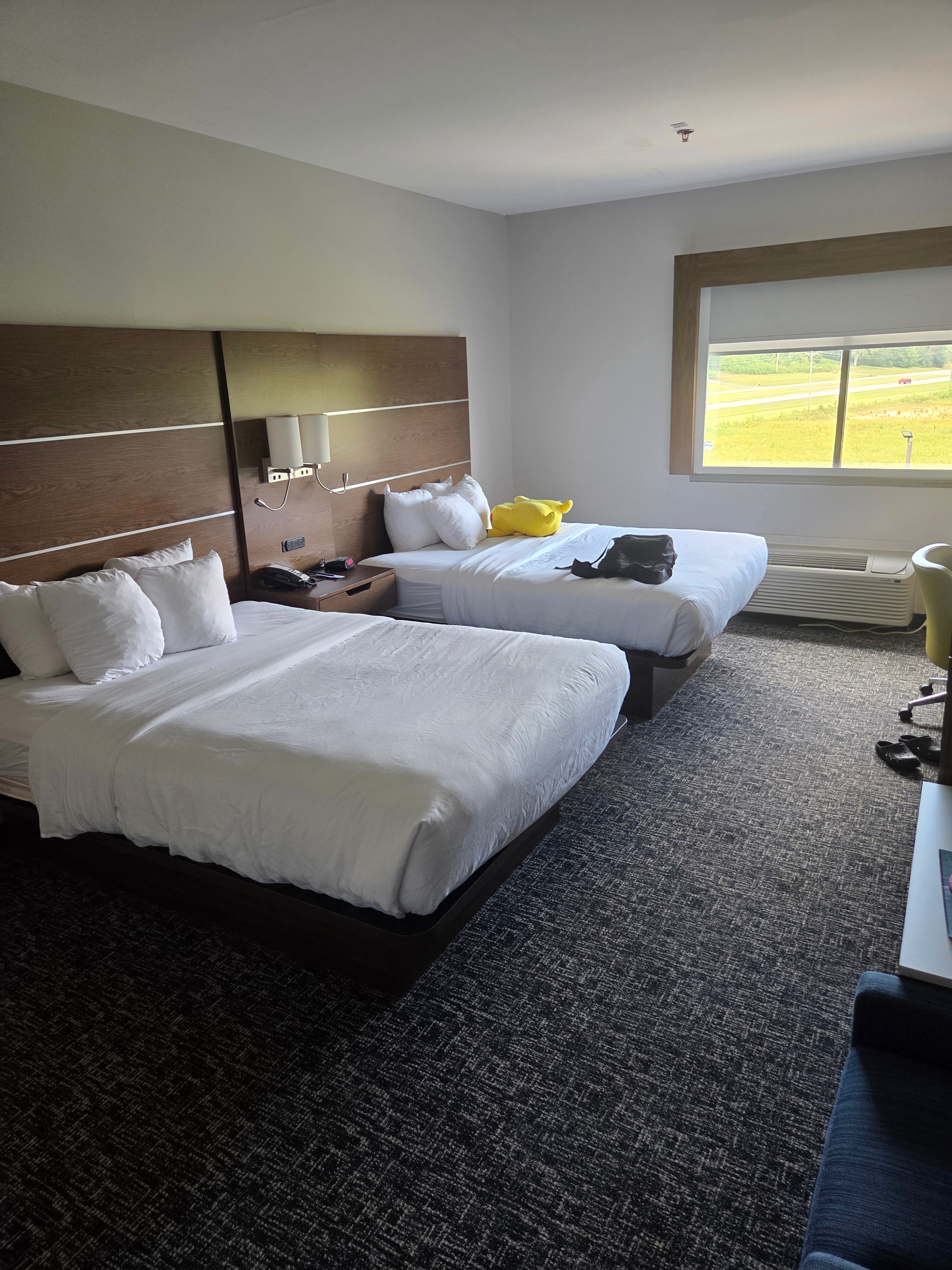 Comfort Inn and Suites Near Lake Guntersville-客卧