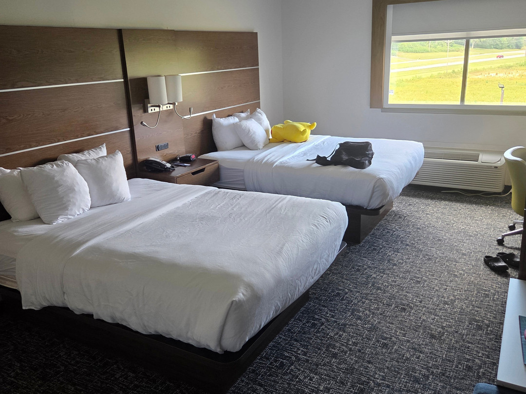Comfort Inn and Suites Near Lake Guntersville主图