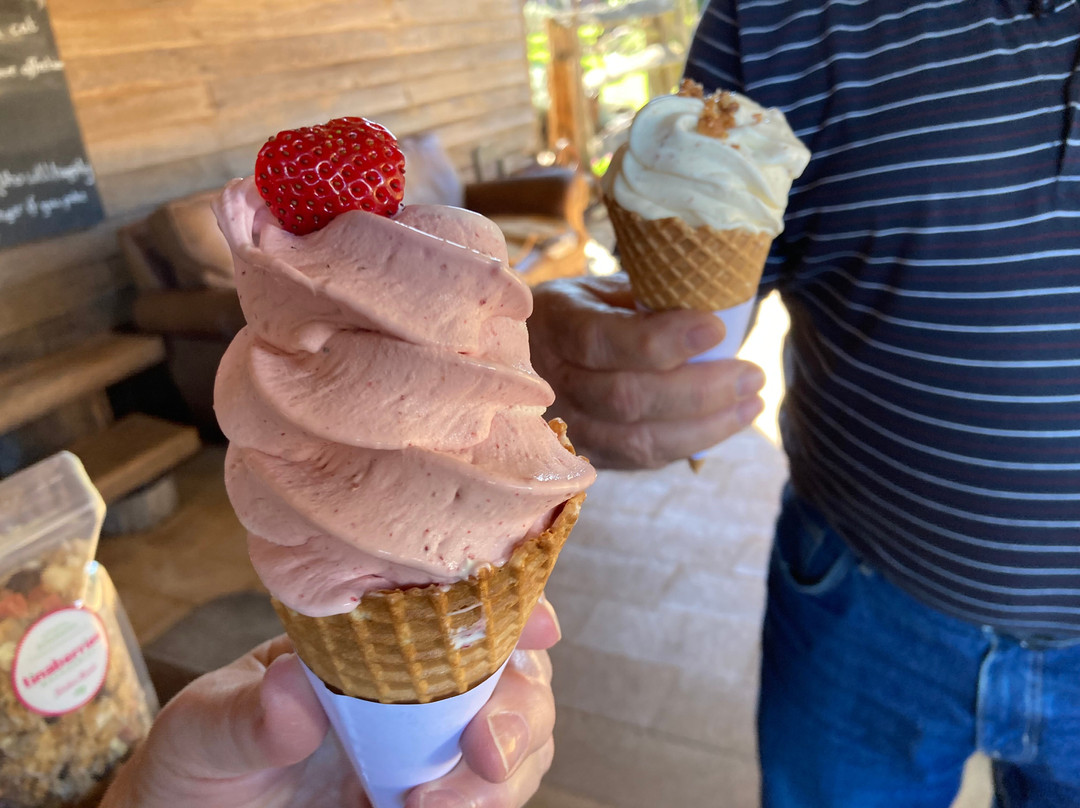 Tinaberries-邦德堡必去景点