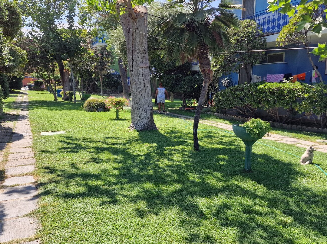 Hotel Villaggio Il Carlino主图