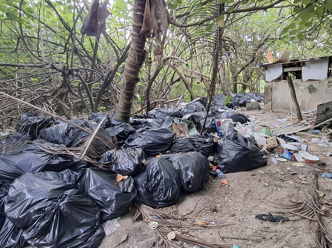 Pangaimotu Island Resort主图