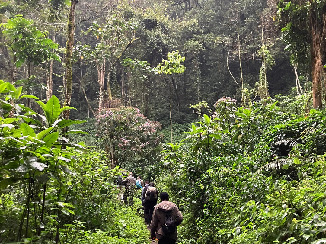 Prime Safaris & Tours-坎帕拉必去景点