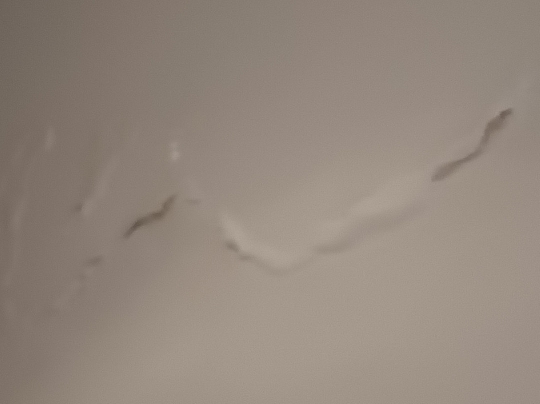 Elgel Hotel And Spa主图