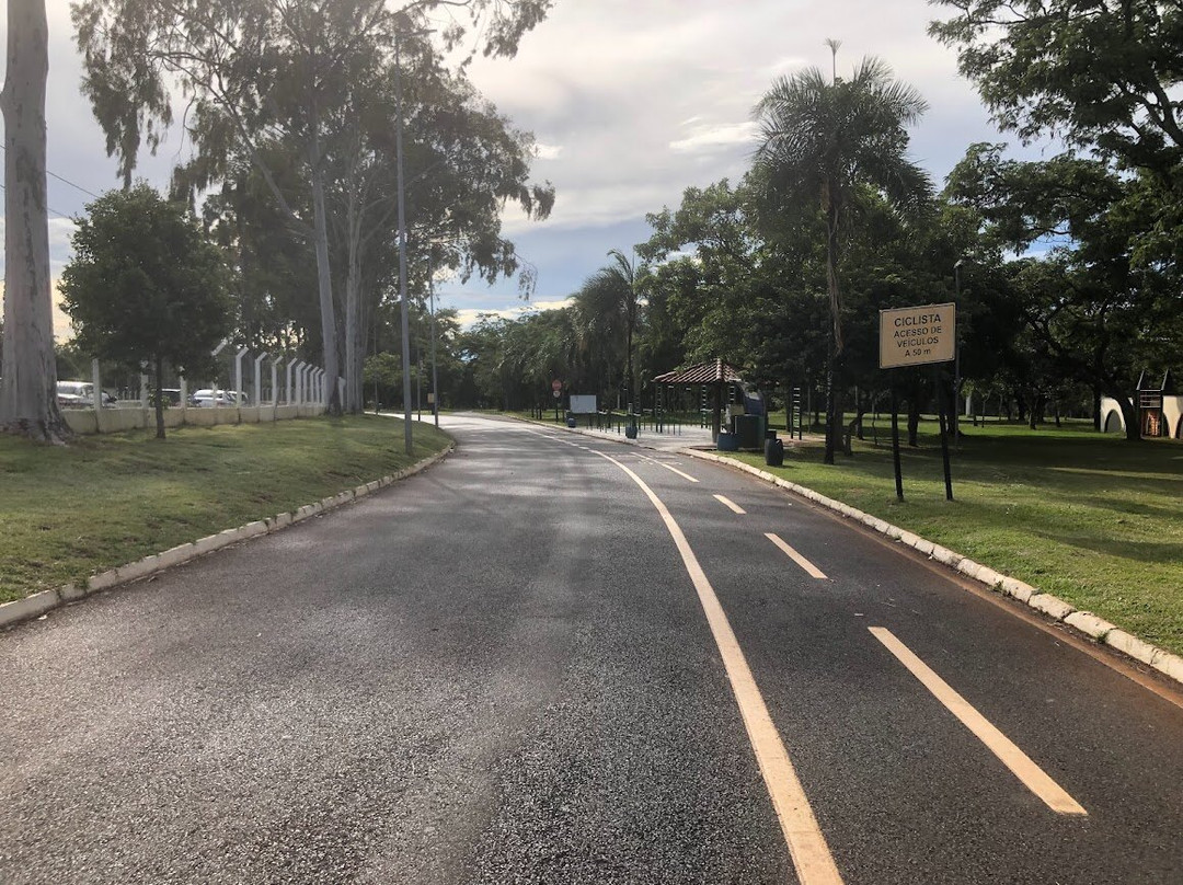 Parque do Sabiá-乌贝兰迪亚必去景点