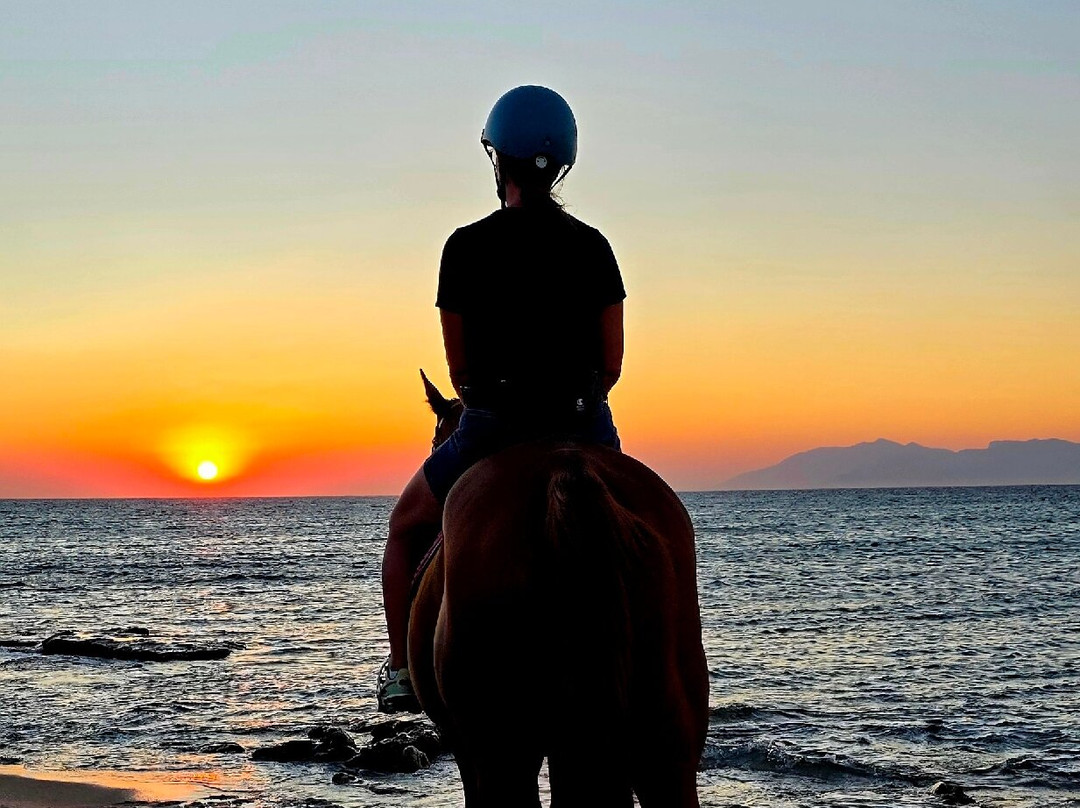 Kardamena Horse Riding Center-卡达米那必去景点