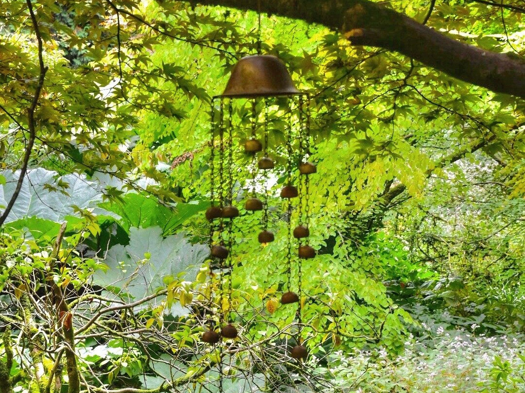 Arbigland House and Gardens-邓弗里斯必去景点