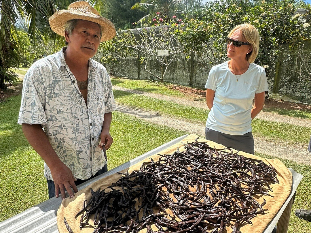 Huahine Land Safari Tour-Fare必去景点