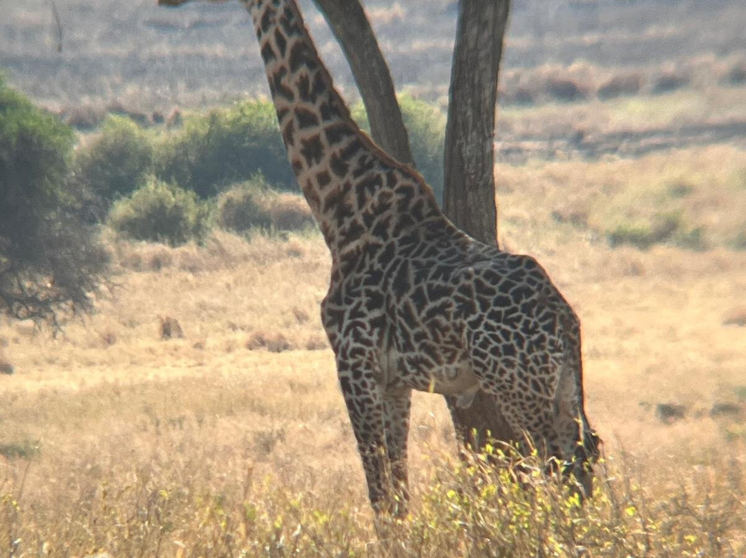 Karibu Safaris-Seefeld必去景点
