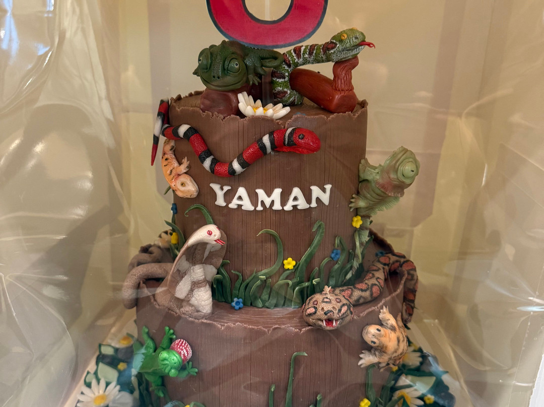 Doha Quest-多哈必去景点