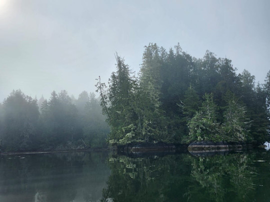 Paddle West Kayaking-托菲诺必去景点