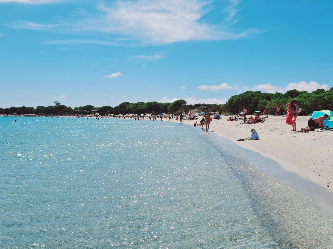 Plage de Rondinara-博尼法乔必去景点