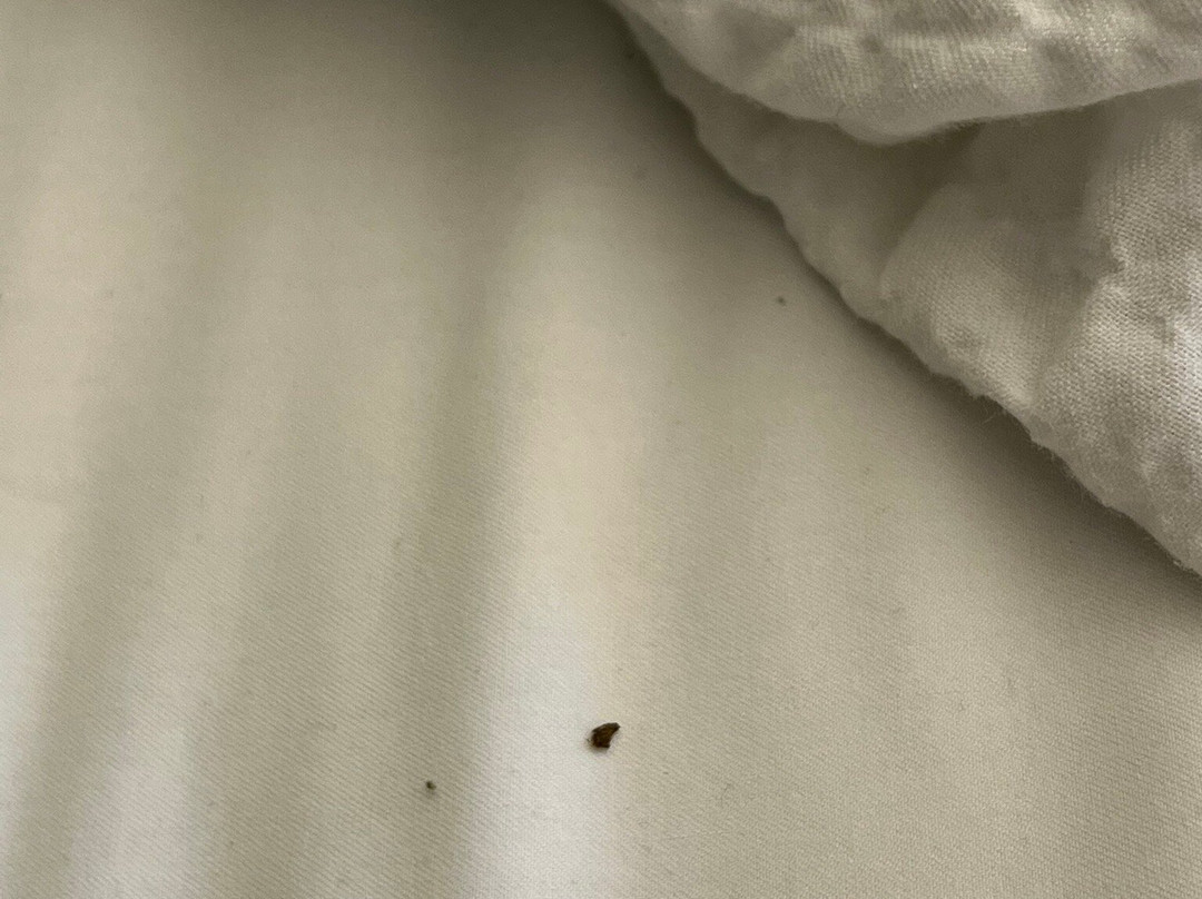 Fiesta Inn Merida主图