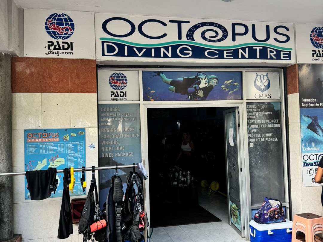 Octopus Diving Centre-Pereybere必去景点