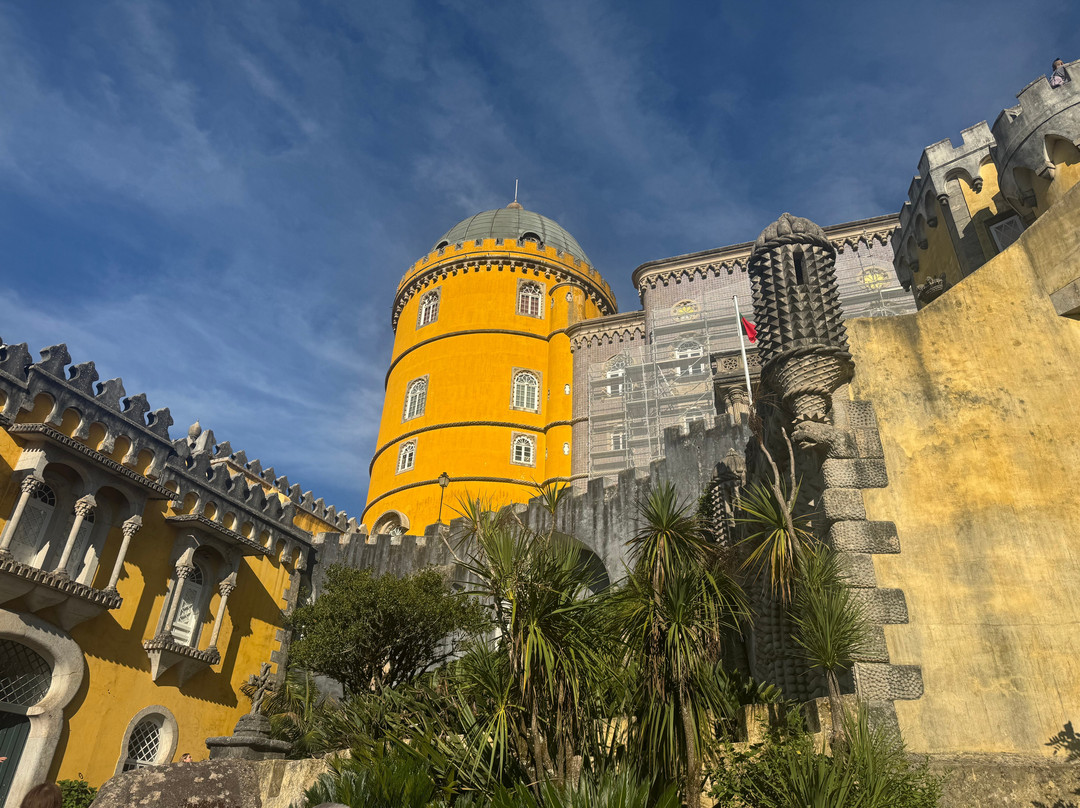 Odyssey Tours - Day Tours & Experiences-里斯本必去景点