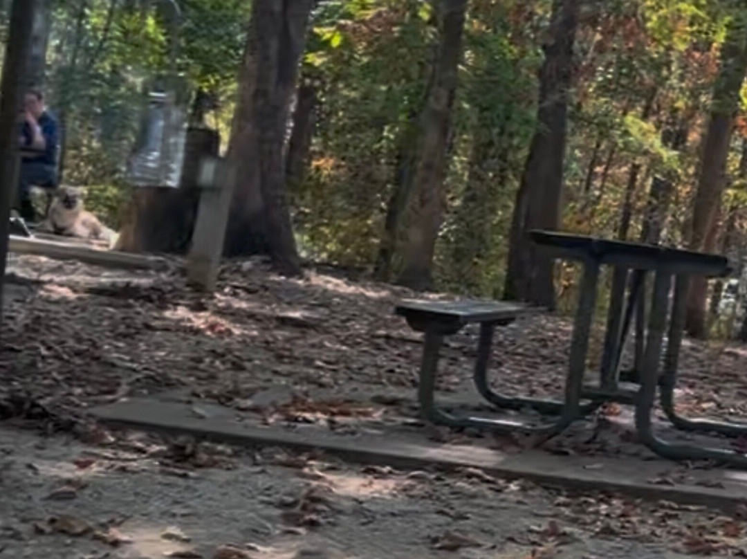 Robertsville State Park-Robertsville必去景点