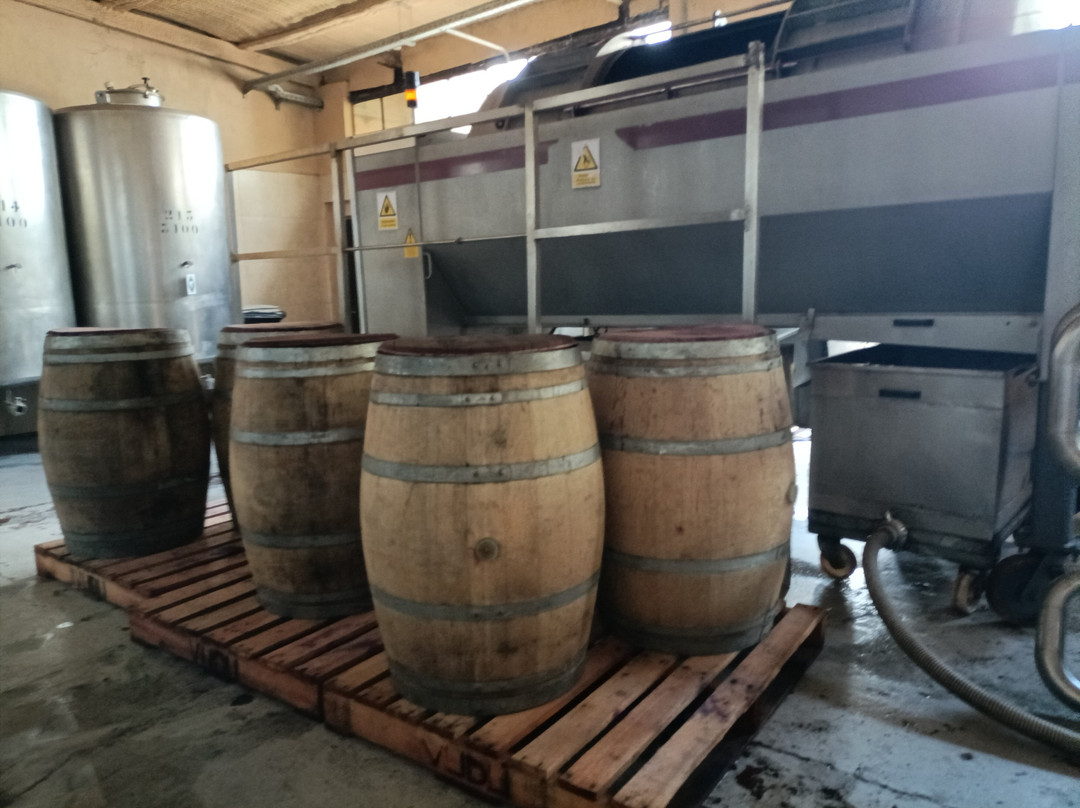 Varela Zarranz Winery-Canelones必去景点