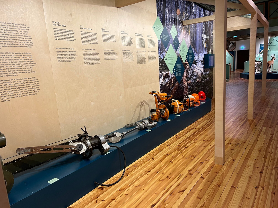 Sagadi Forest Museum-Sagadi必去景点