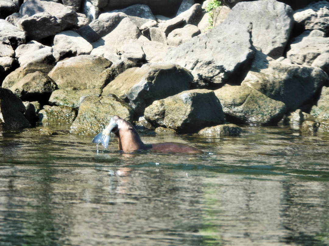 Beamers Hells Canyon Tours-Clarkston必去景点