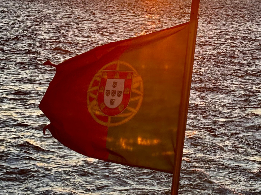 Yellow Boat Tour-里斯本必去景点