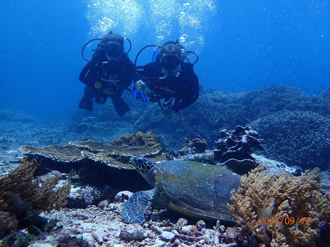 Bali Hai Diving Adventures-蓝梦岛必去景点