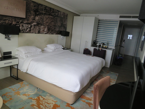 杜布罗夫尼克里克萨斯高级酒店主图