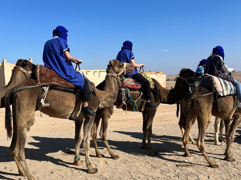 Pacha Luxury Travel-卡萨布兰卡必去景点