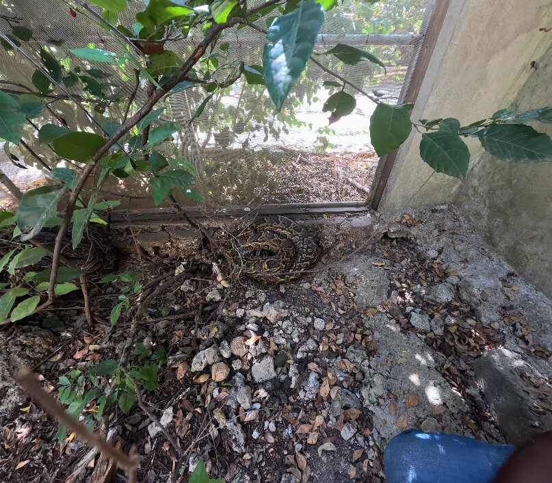 Zanzibar Kilosas Conservation-孥归必去景点