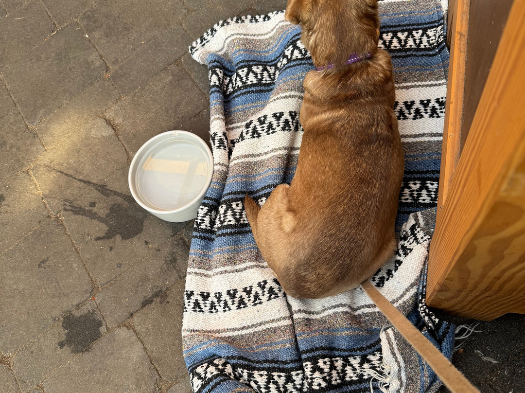 Salt Spring Wild Cider-盐泉岛必去景点