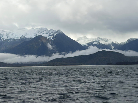 Allen Marine Tours-朱诺必去景点