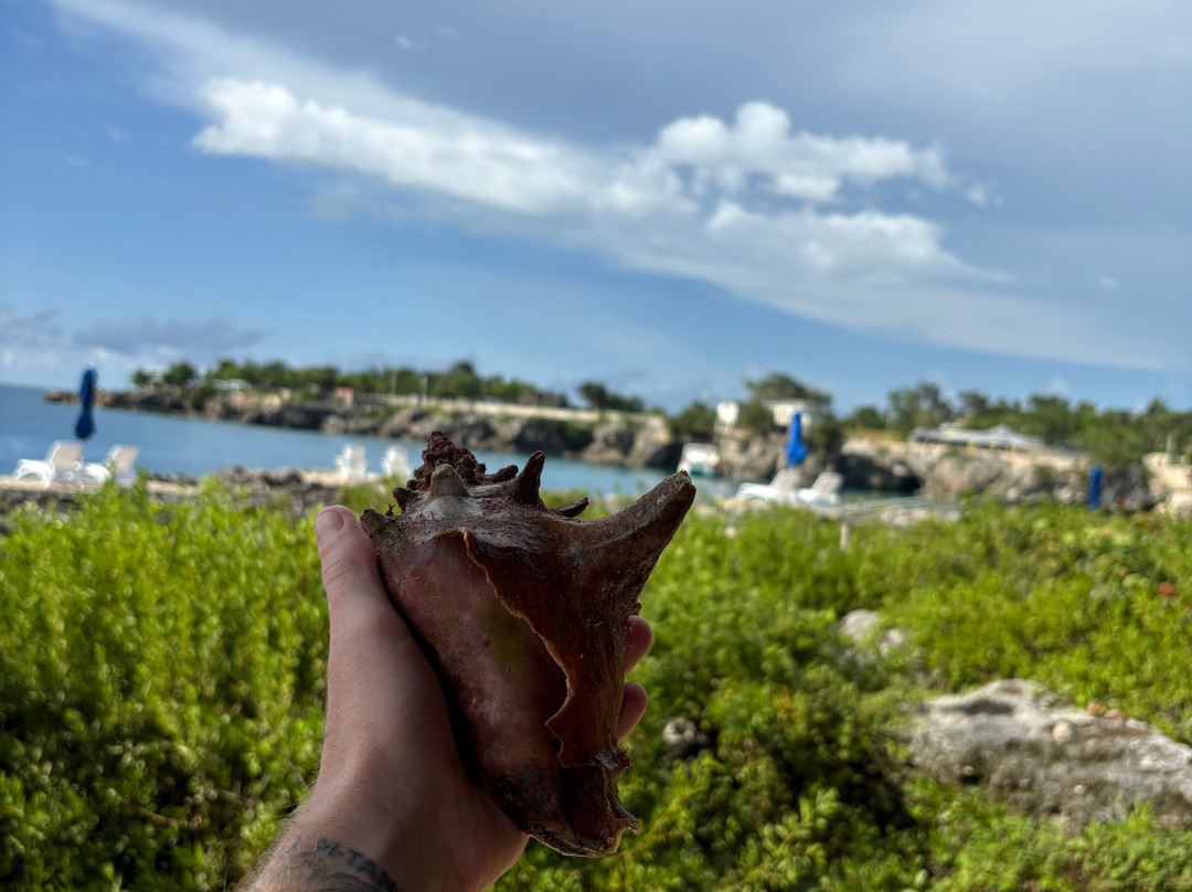 One Retreats Jamaica-内格里尔必去景点