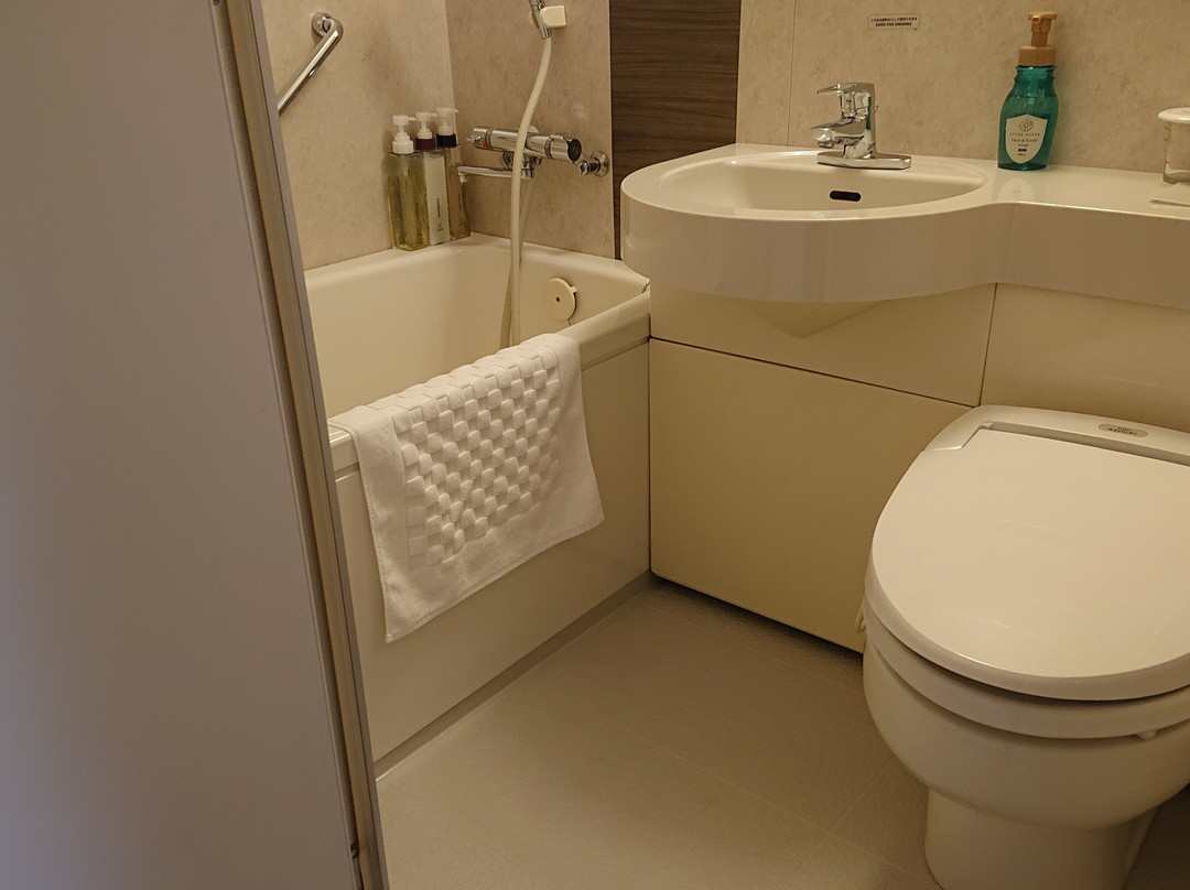 东大阪里士满酒店主图