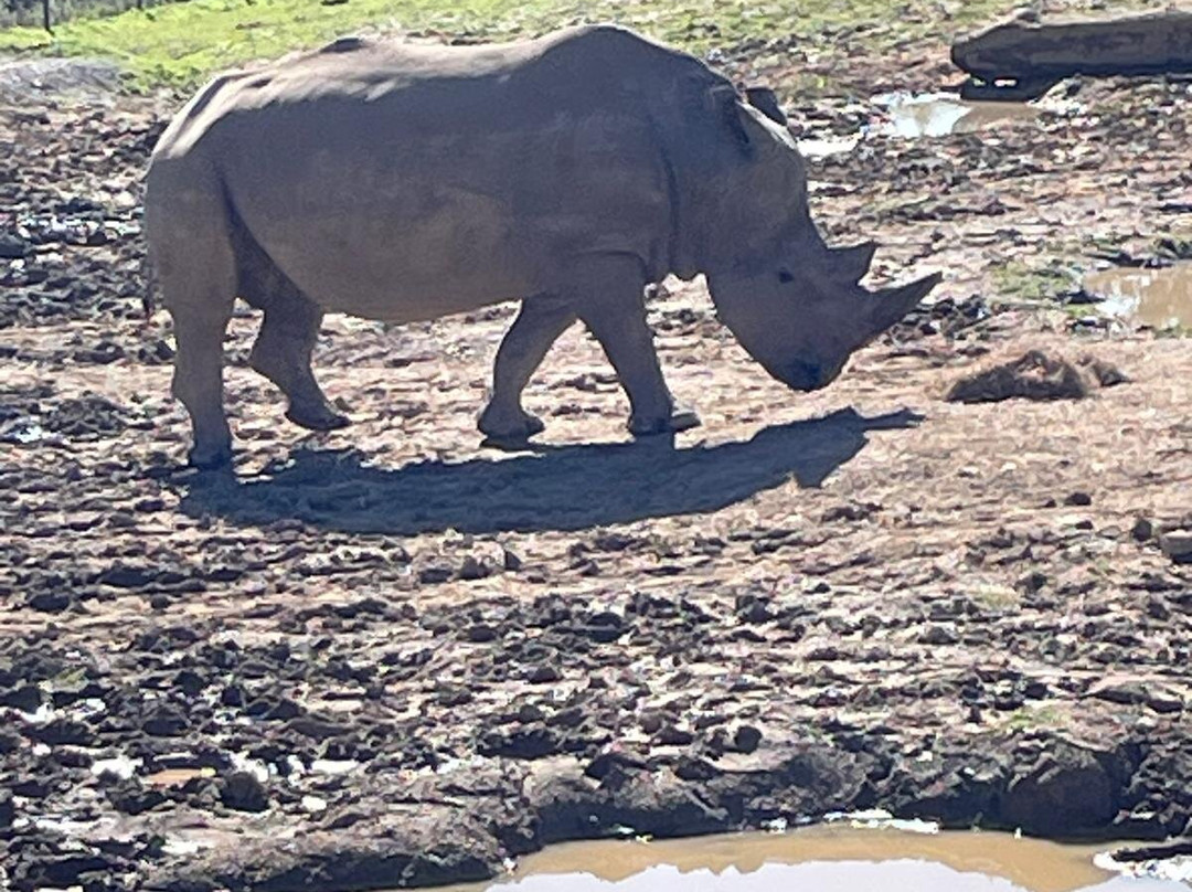Manor Wildlife Park-St. Florence必去景点