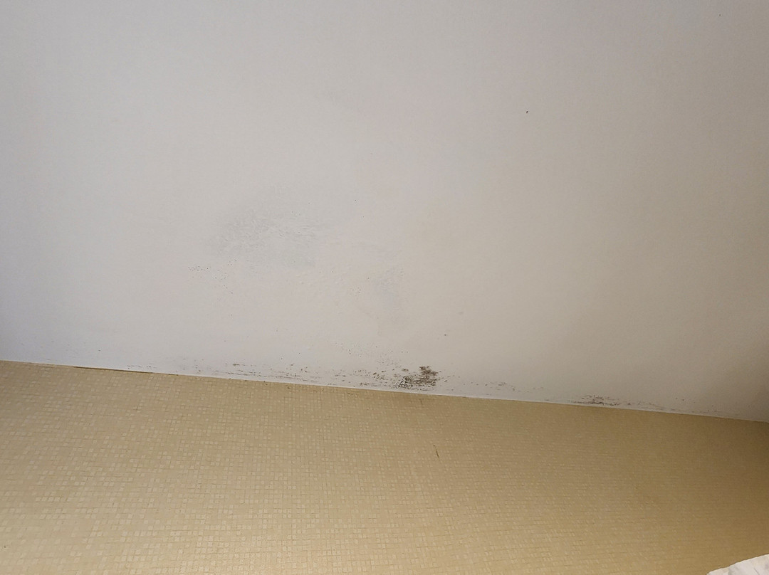 Quality Inn Cameron主图